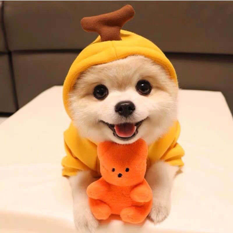 Cute Fruit Pet Hoodie - Winter Warm Fleece Costume for Small Dogs & Cats